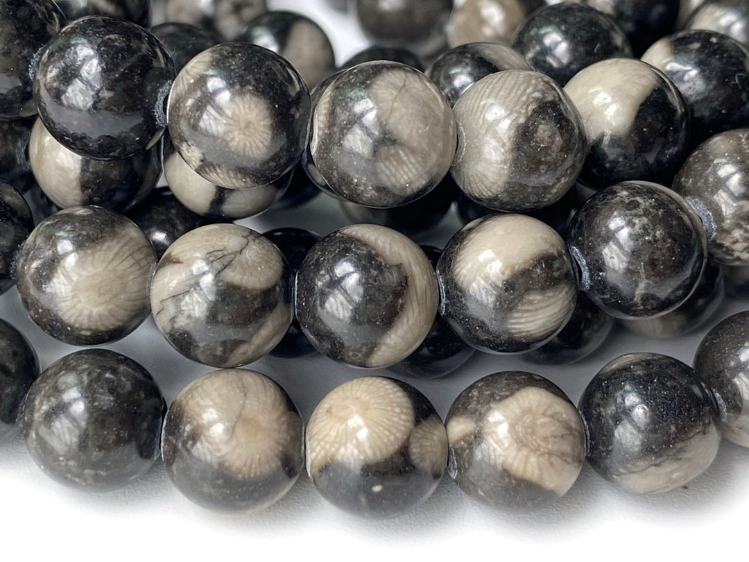 15.5" 8mm Natural black coral fossil stone round beads