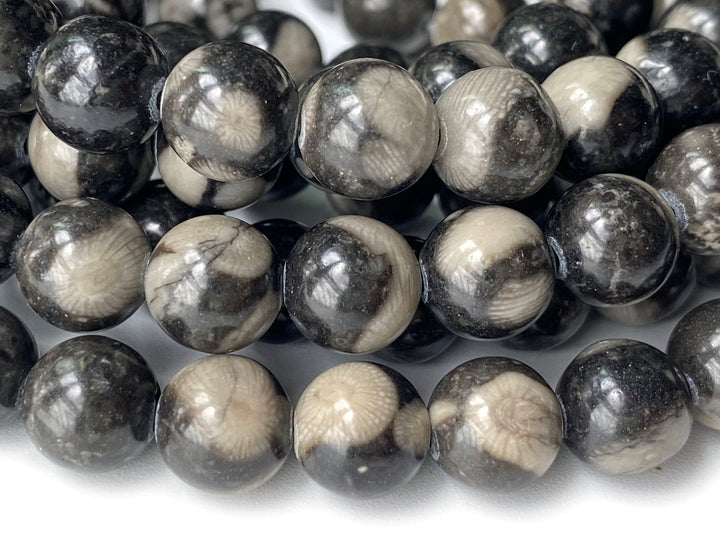 15.5" 8mm Natural black coral fossil stone round beads