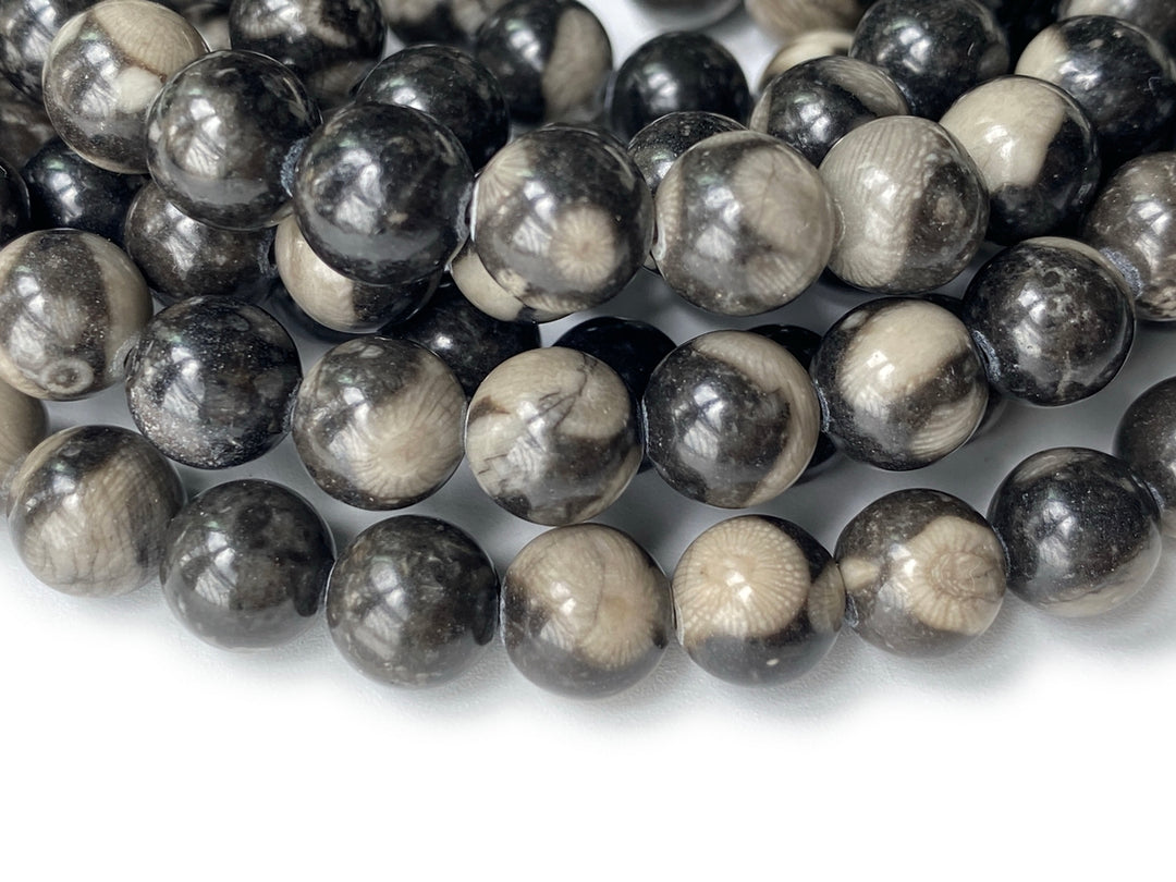 15.5" 8mm Natural black coral fossil stone round beads