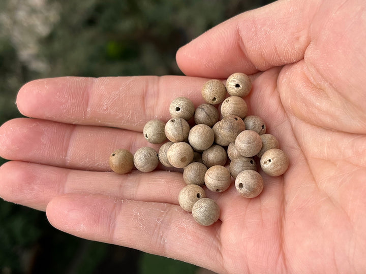 50PCS 8mm natural fragrant Golden Phoebe silkwood round Mala beads
