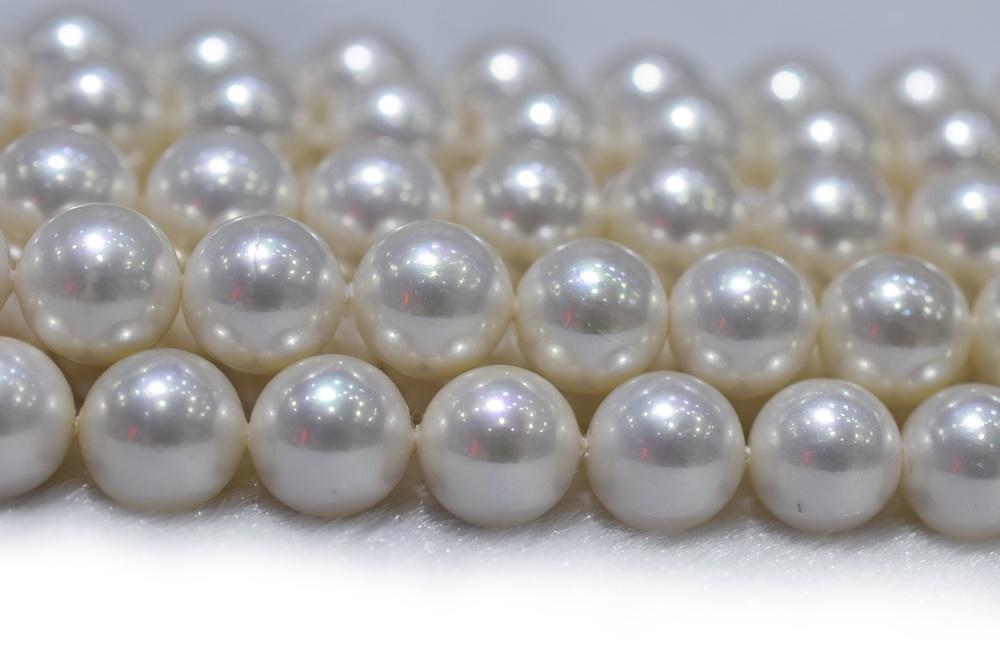 15.5" 8mm/10mm Luster white Shell pearl round beads,shell core pearl,TYP