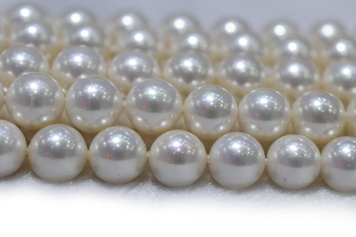 15.5" 8mm/10mm Luster white Shell pearl round beads,shell core pearl,TYP