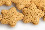 Starfish shape pendant and beads for jewelry making