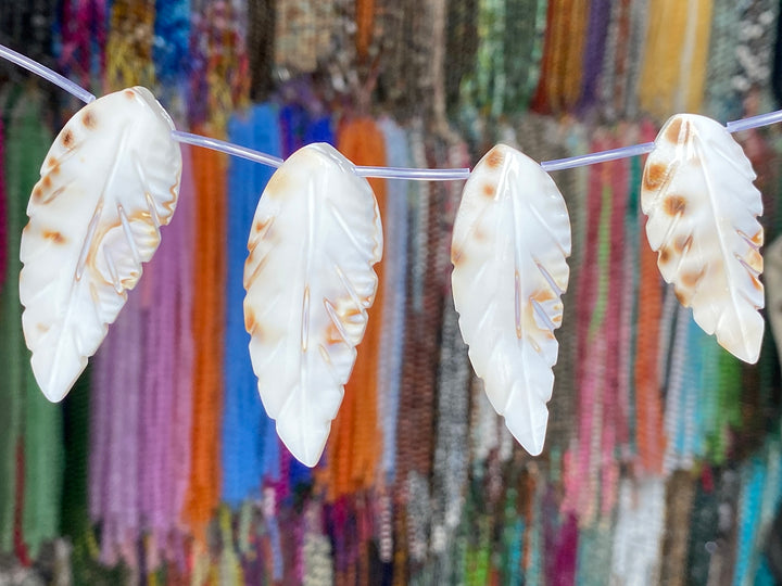 15" 20x45~60mm Natural white shell carving leaf,12pcs on each strand