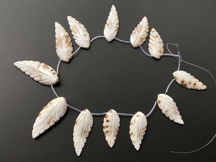15" 20x45~60mm Natural white shell carving leaf,12pcs on each strand
