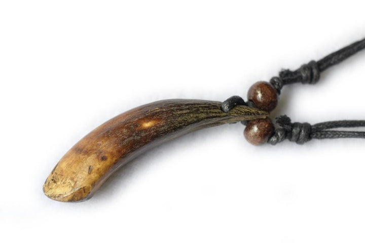 1PC 50mm wolf tooth pendant necklace adjustable