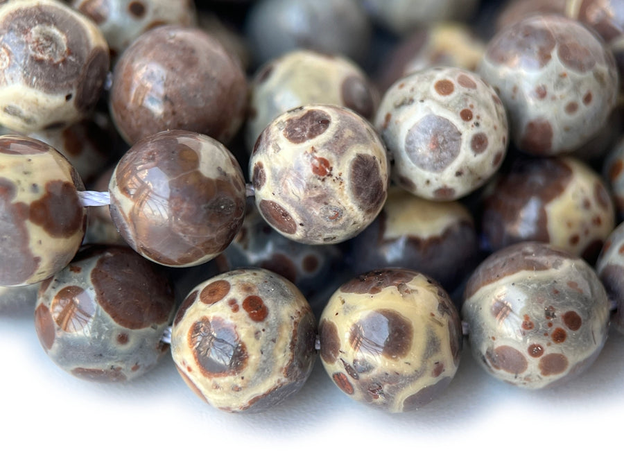 15“ 8mm Natural Asteroid Jasper Round Beads Chocolate Ocean Jasper