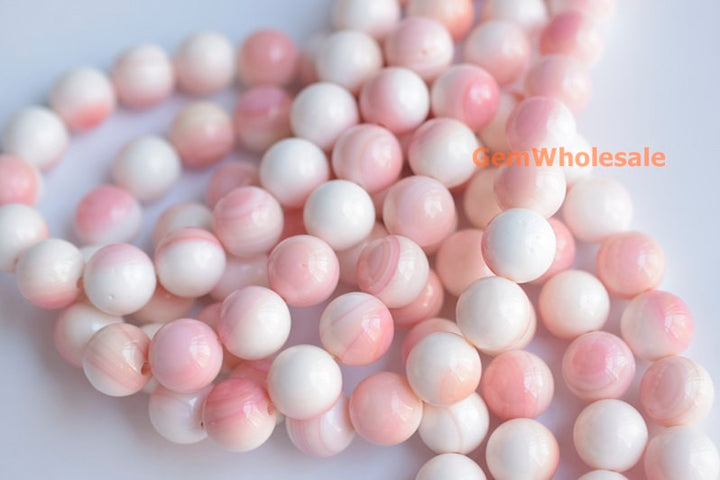 Queen conch shell - Round- beads supplier
